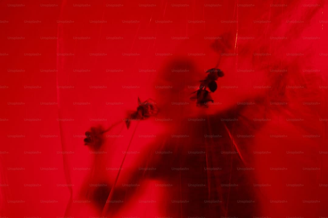 http://n.sinaimg.cn/news/transform/w600h400/20180309/EDwz-fxpwyhw1760804.jpg?zdy